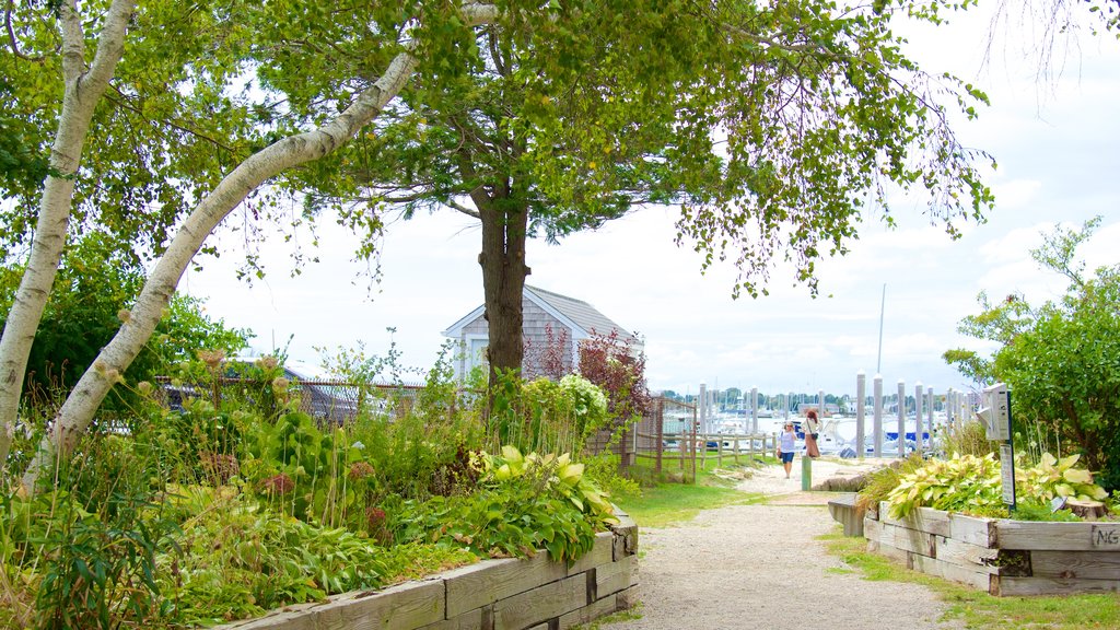 Thames Street mettant en vedette ville côtière et vues littorales