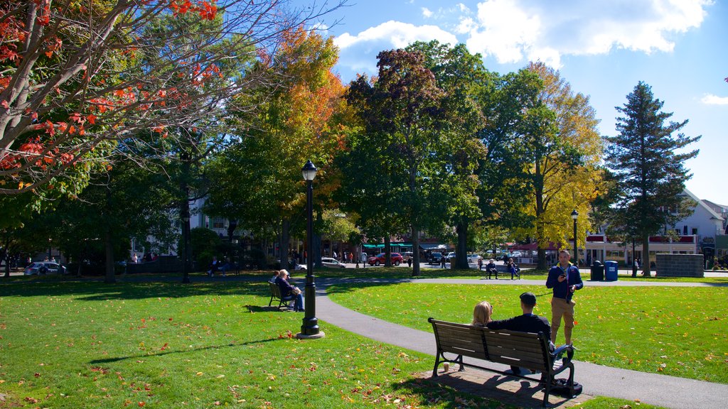 Village Green showing a park as well as a small group of people