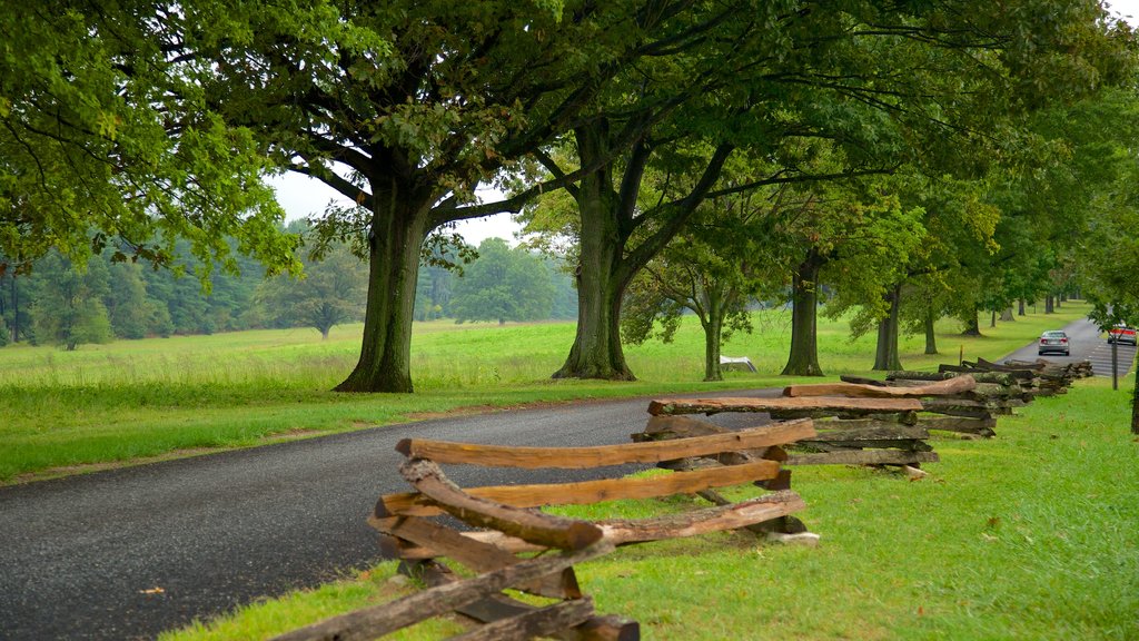 Valley Forge National Historic Park que incluye un parque y elementos del patrimonio