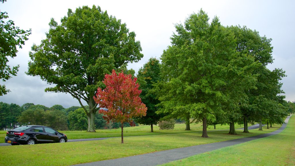 Parque Histórico Nacional de Valley Forge mostrando um parque