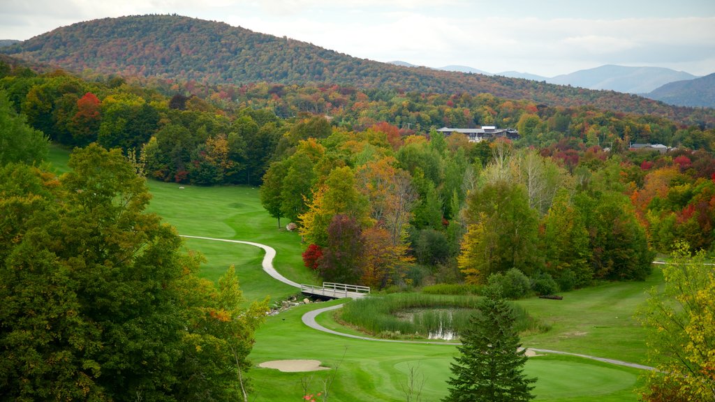 Campo de golf Killington ofreciendo vistas de paisajes