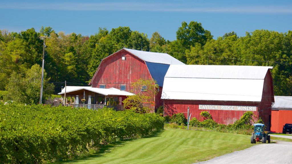 Seneca Falls showing farmland