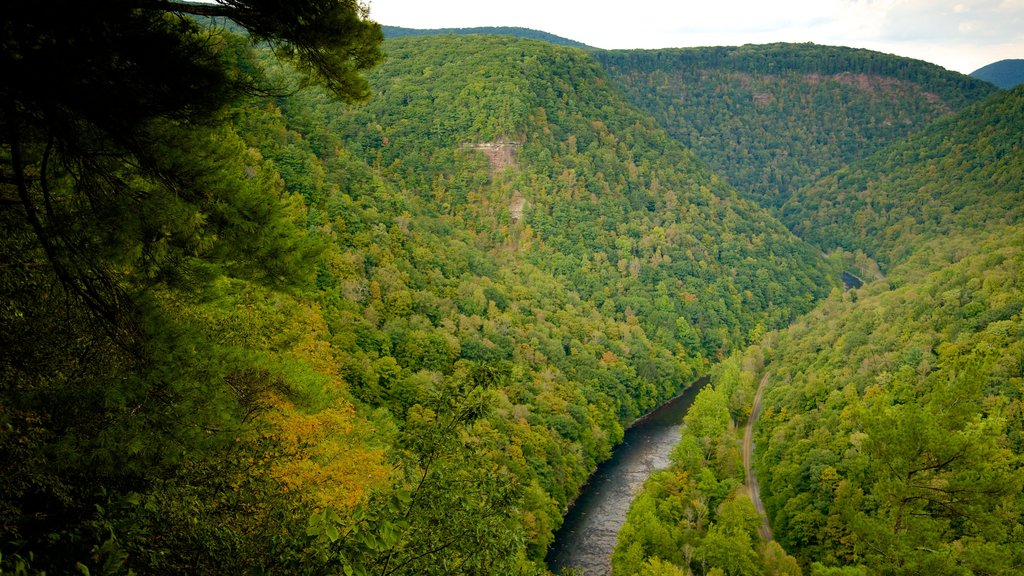 Pine Creek Gorge qui includes paysages, paysages paisibles et une rivière ou un ruisseau