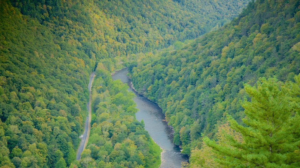 Erie mettant en vedette une gorge ou un canyon et paysages en forêt