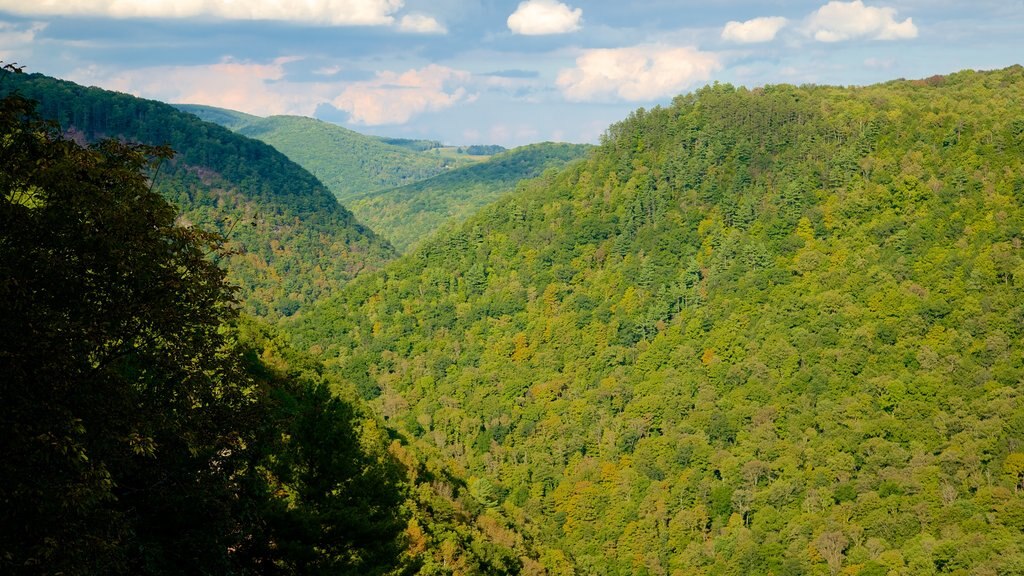 Pine Creek Gorge featuring tranquil scenes and landscape views