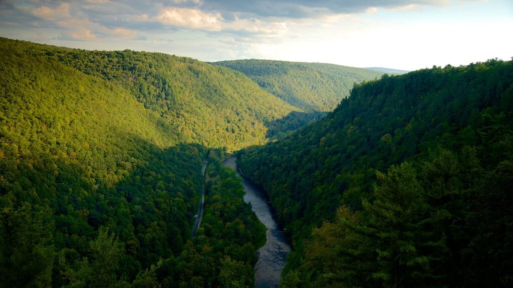 Pine Creek Gorge which includes tranquil scenes and landscape views