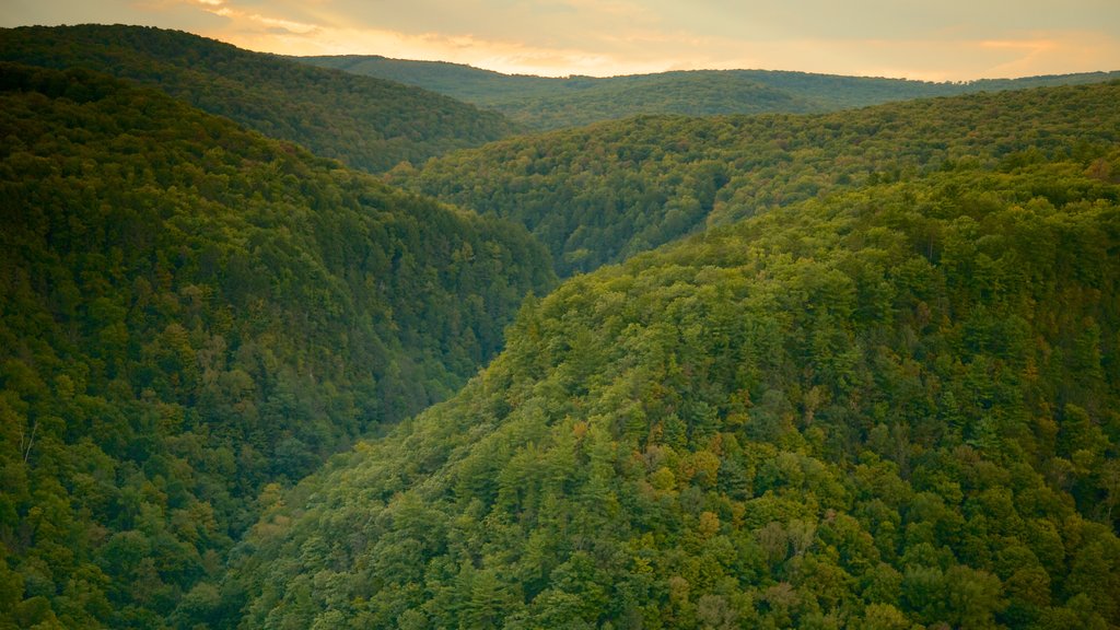 Pine Creek Gorge which includes tranquil scenes, landscape views and a sunset