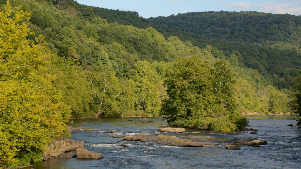 Uniontown mostrando paisagens litorâneas, cenas de floresta e montanhas