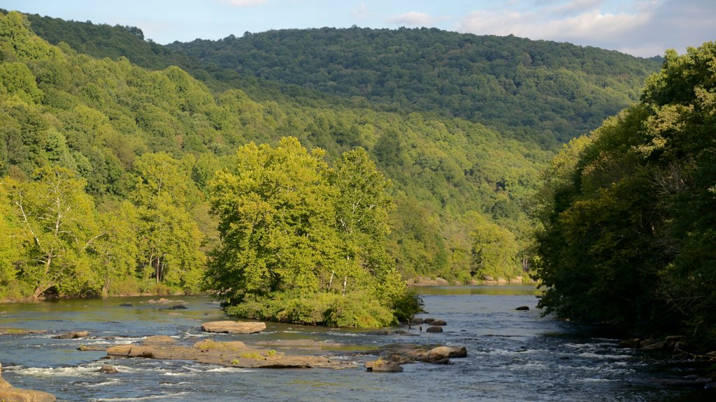 Uniontown showing a river or creek, a garden and forest scenes