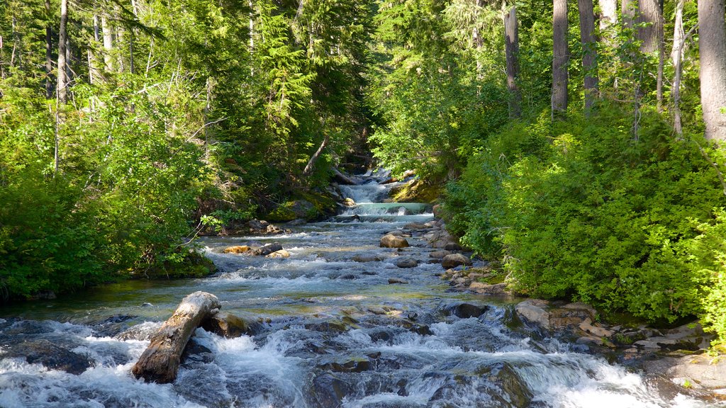 Ashford which includes a river or creek