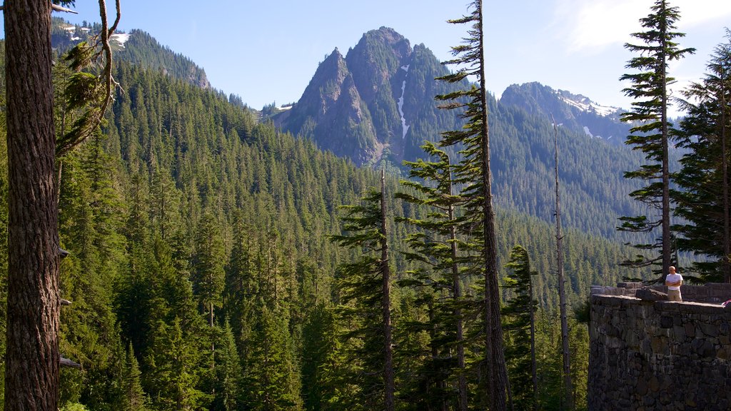 Ashford menampilkan hutan dan pemandangan lanskap