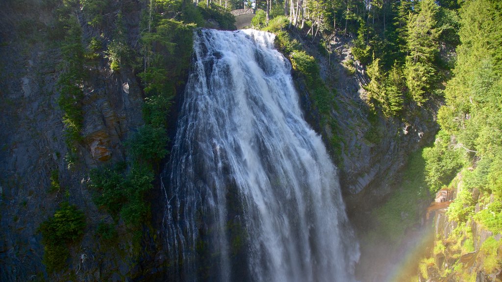 Narada Falls featuring a cascade