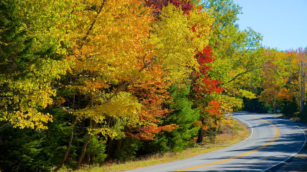 Bar Harbor