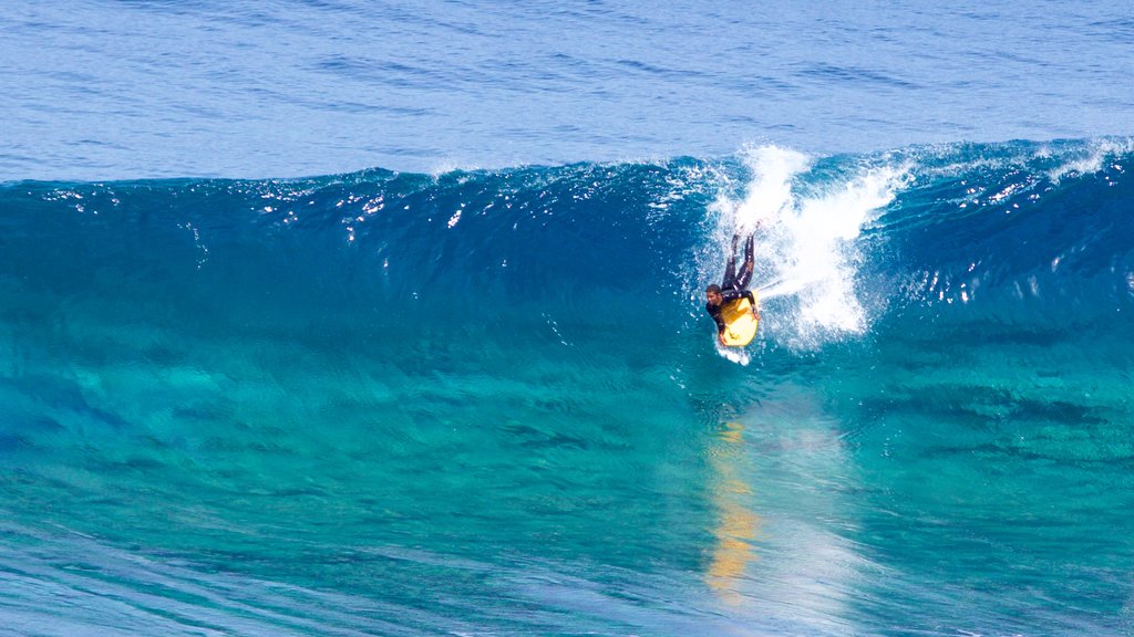 Grande Canarie mettant en vedette paysages côtiers, surf et vagues