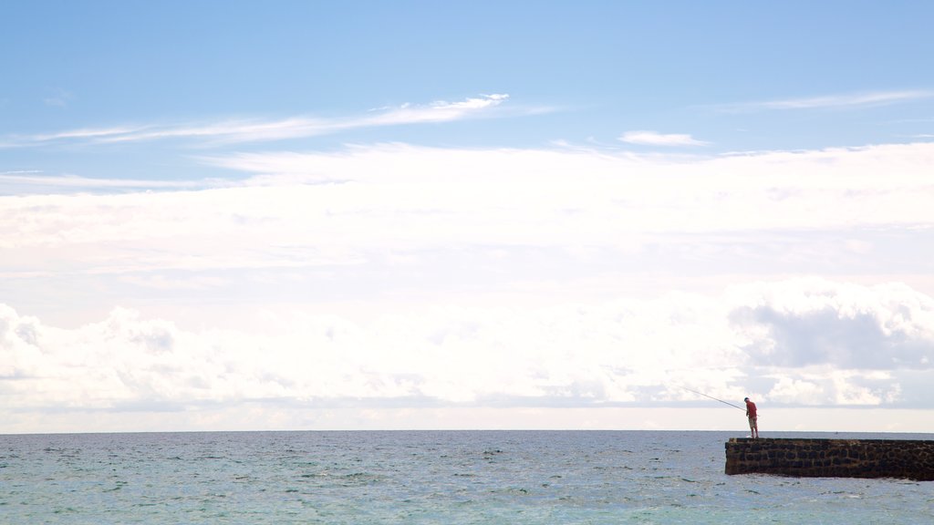 Puerto del Rosario ofreciendo vista general a la costa y pesca y también un hombre