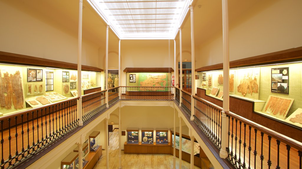 Canarian Museum which includes interior views