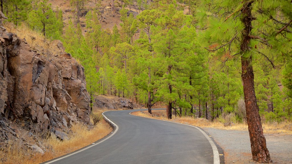 Gran Canaria ofreciendo escenas tranquilas