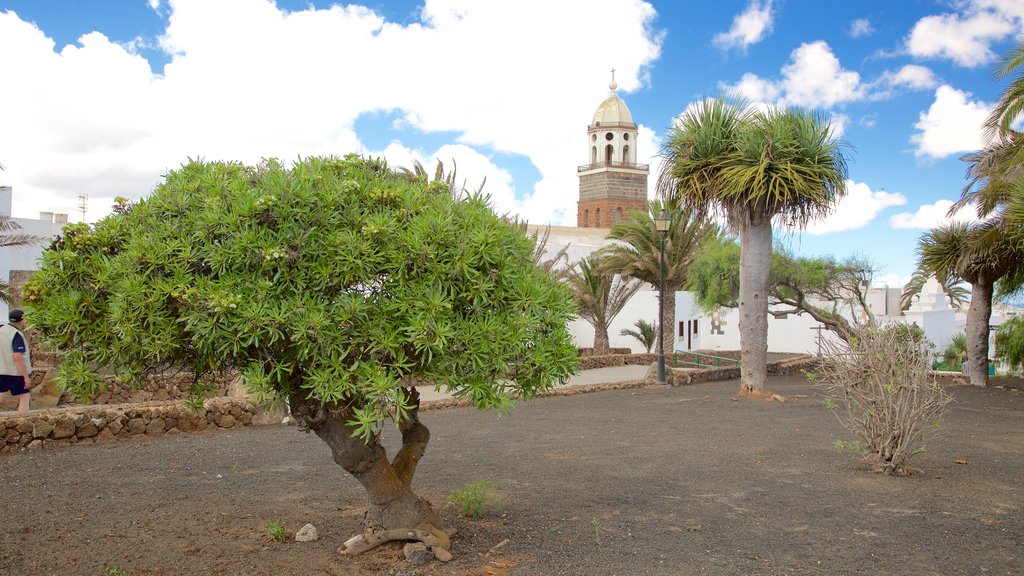 Teguise showing a coastal town