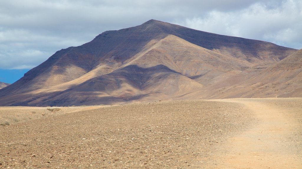 Playa de Papagayo mostrando vista al desierto y montañas