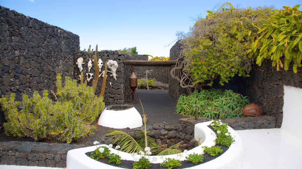 Fundación César Manrique ofreciendo un jardín y una pequeña ciudad o pueblo