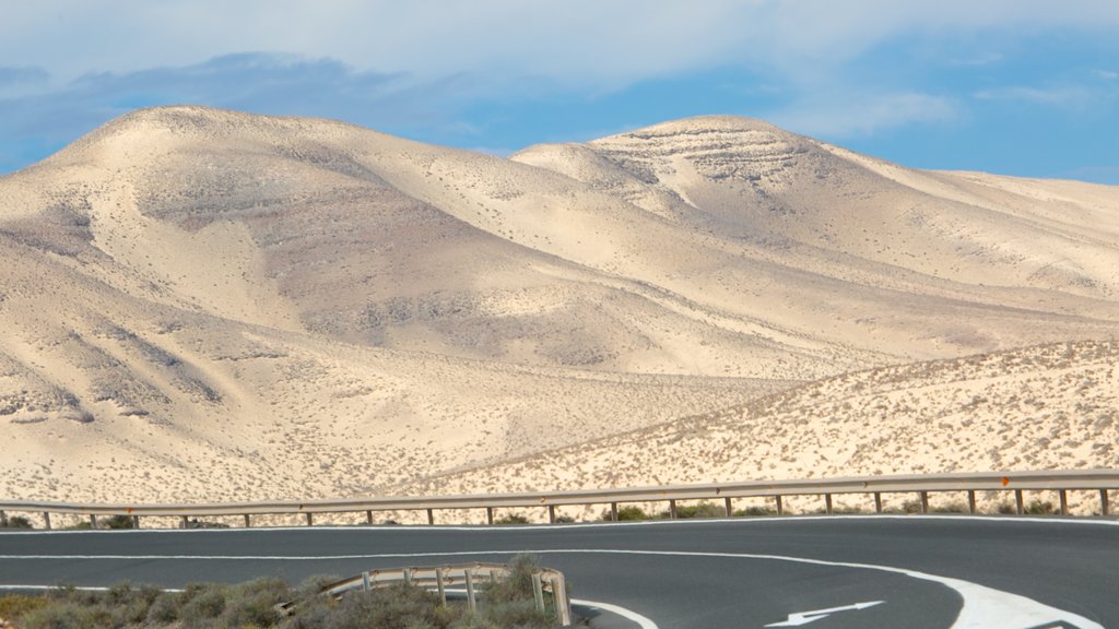 Playa de Sotavento de Jandía mostrando vista al desierto