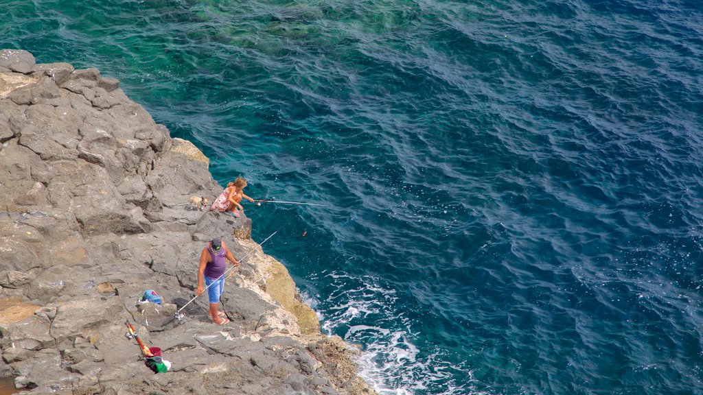 Costa de Antigua mostrando pesca y costa escarpada