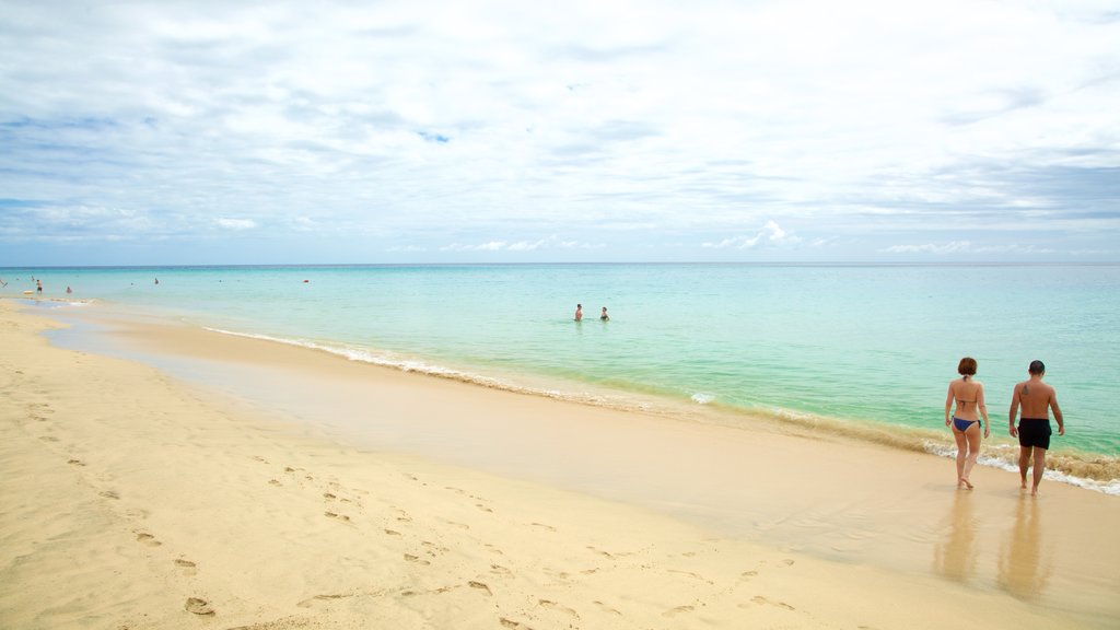 Jandia Beach which includes a sandy beach, general coastal views and swimming