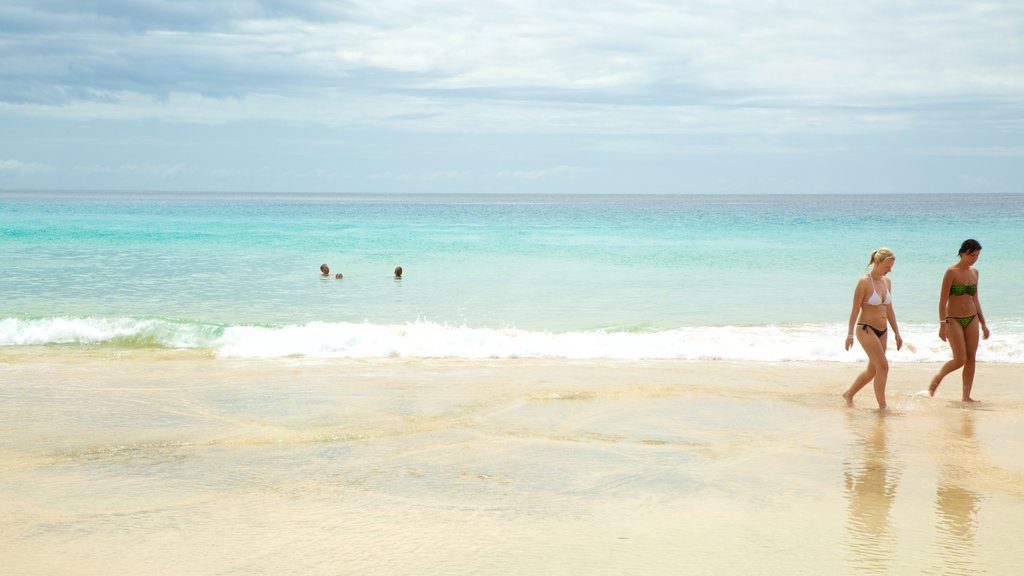 Plage de Jandia montrant paysages côtiers, nage et une plage de sable