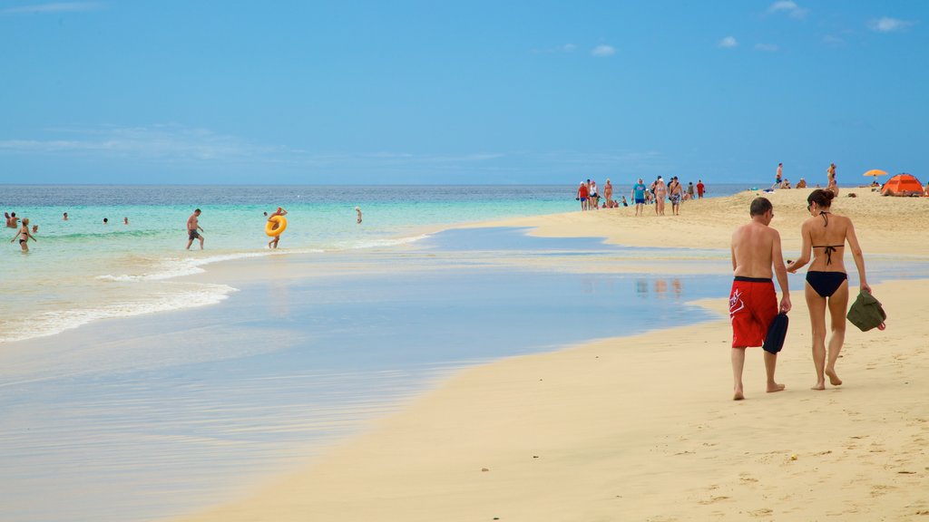 Jandía strand som inkluderer kyst, svømming og strand