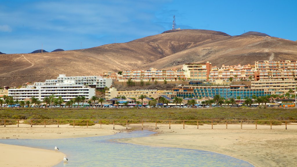 Jandia Beach which includes a city, mountains and a beach