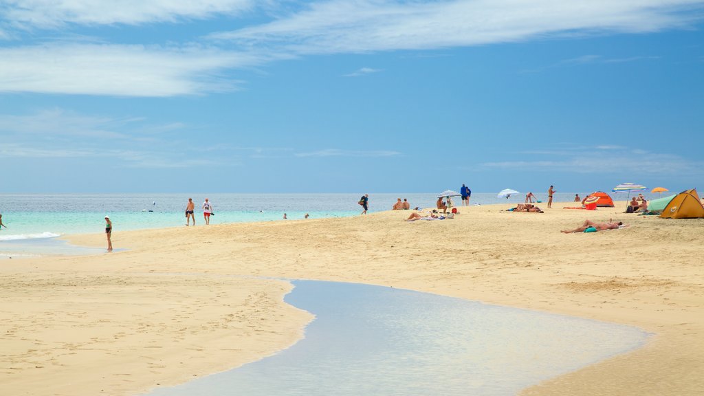 Plage de Jandia mettant en vedette une plage et paysages côtiers