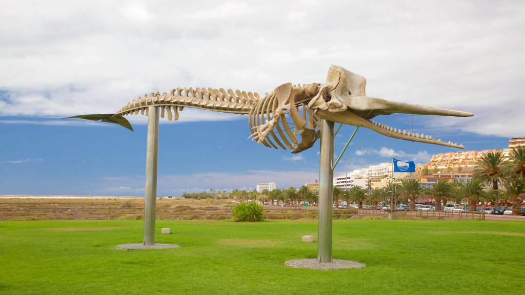 Plage de Jandia montrant un jardin