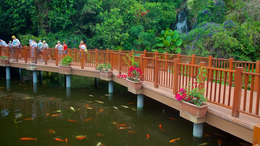 Papegaaienpark toont regenwoud, een tuin en zeedieren