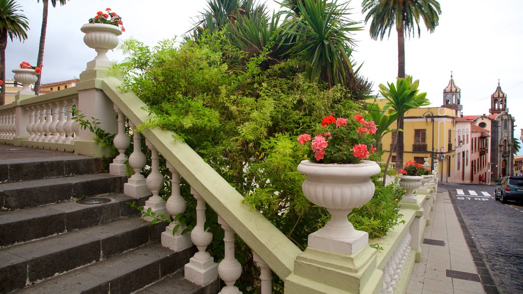 La Orotava ofreciendo flores y una ciudad