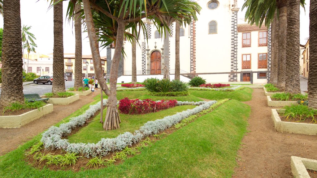 La Orotava mostrando un parque y flores