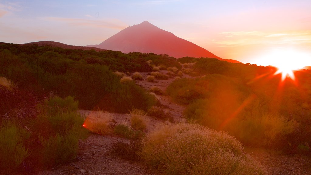 Santiago del Teide showing a sunset, tranquil scenes and mountains