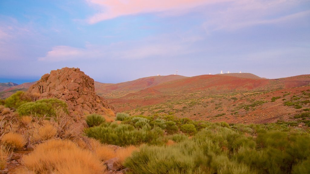 Santiago del Teide showing desert views