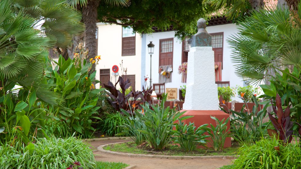 Icod de los Vinos ofreciendo un jardín