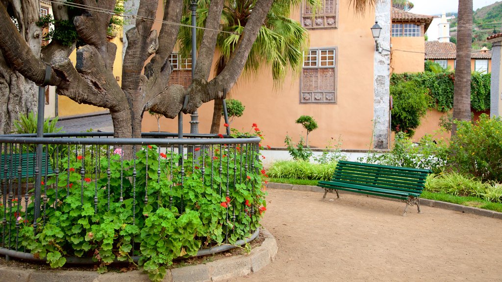 Icod de los Vinos mostrando un jardín