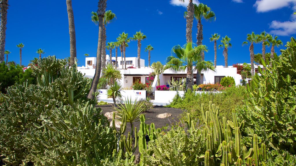 Playa Blanca caracterizando uma casa e um jardim