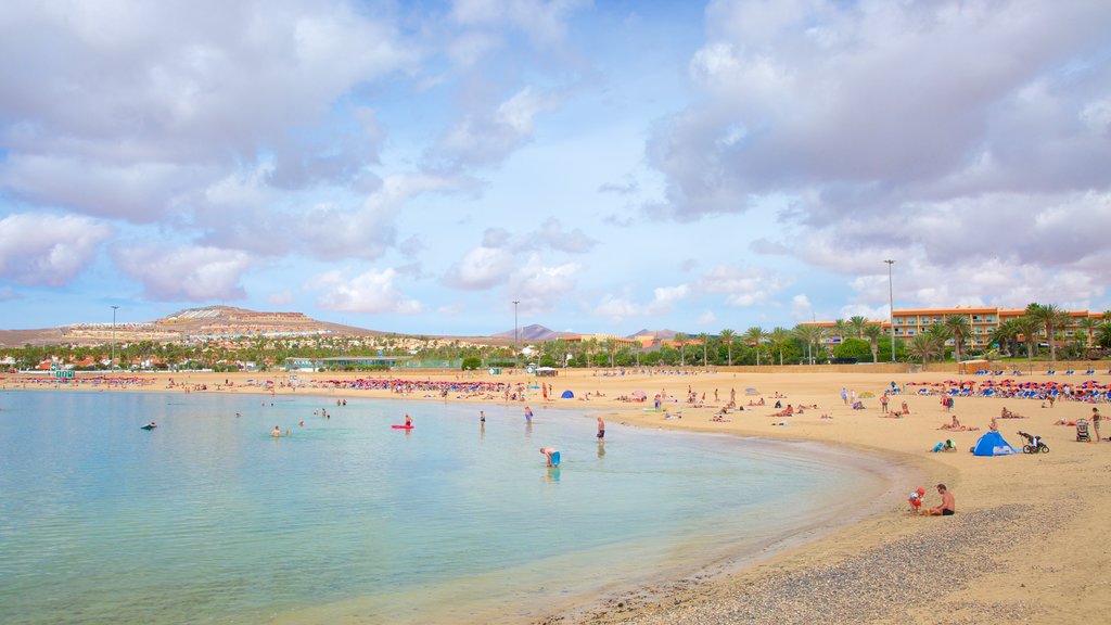 Caleta de Fuste que incluye natación, vista general a la costa y una playa de arena