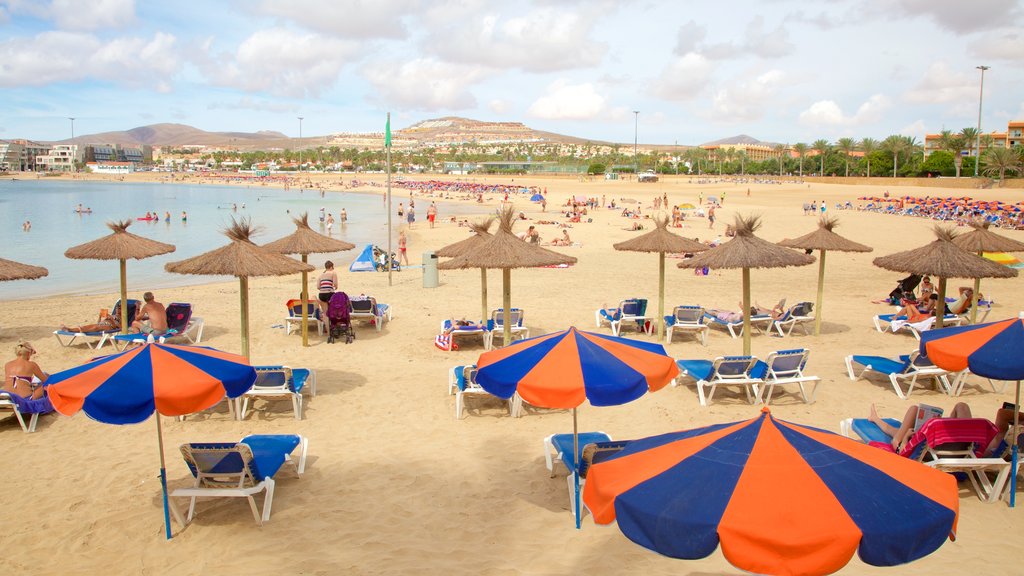 Caleta de Fuste which includes a luxury hotel or resort and a beach