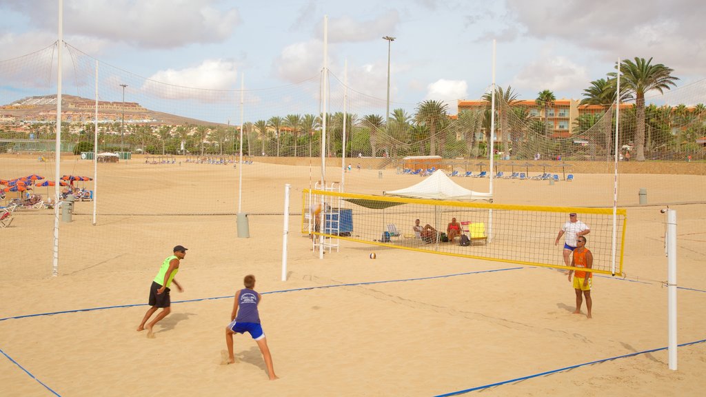 Caleta de Fuste mostrando uma praia de areia assim como um pequeno grupo de pessoas