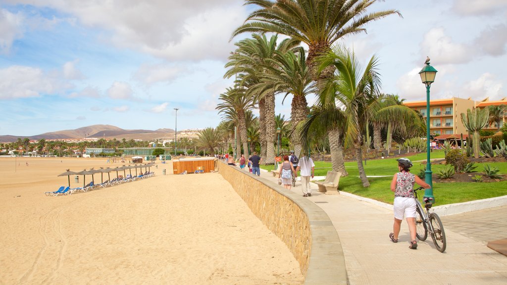 Caleta de Fuste featuring a sandy beach and cycling