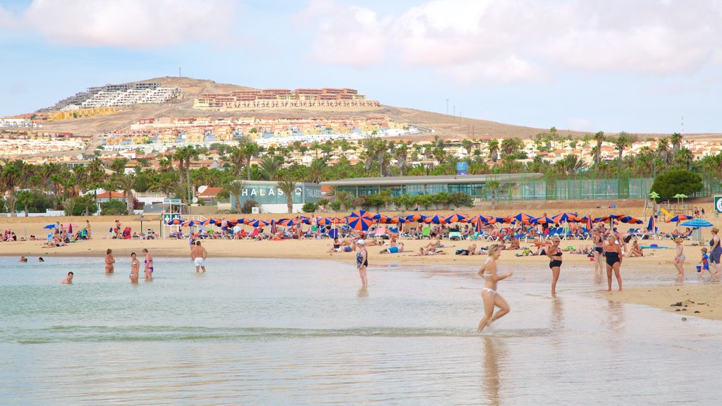 Caleta de Fuste ofreciendo natación, una playa de arena y vista general a la costa