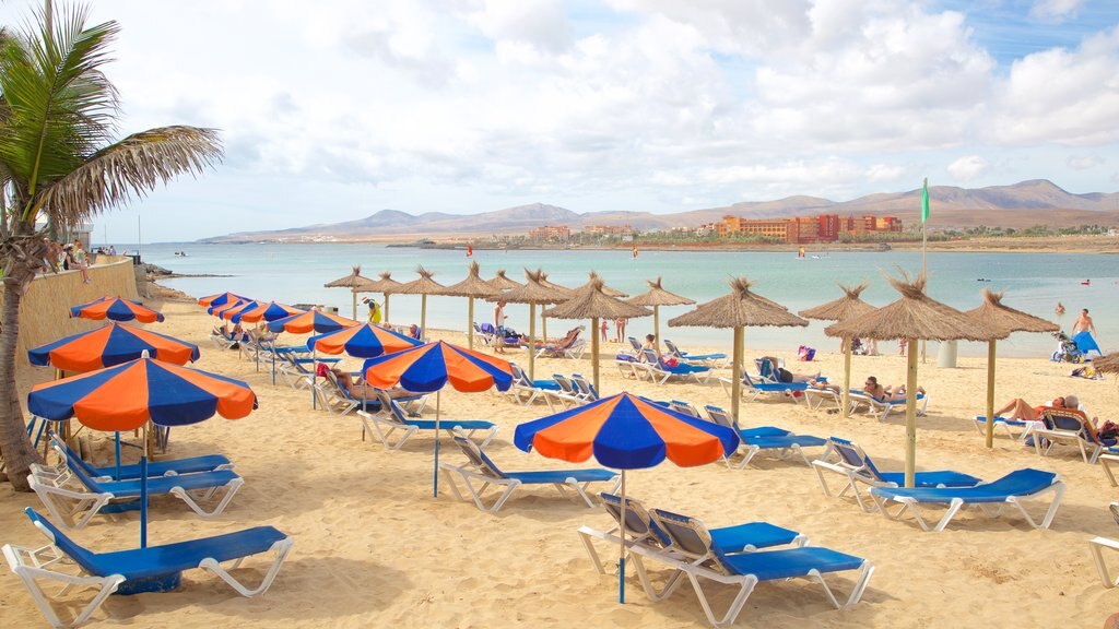 Caleta de Fuste mostrando un hotel o resort de lujo, una playa y vistas generales de la costa