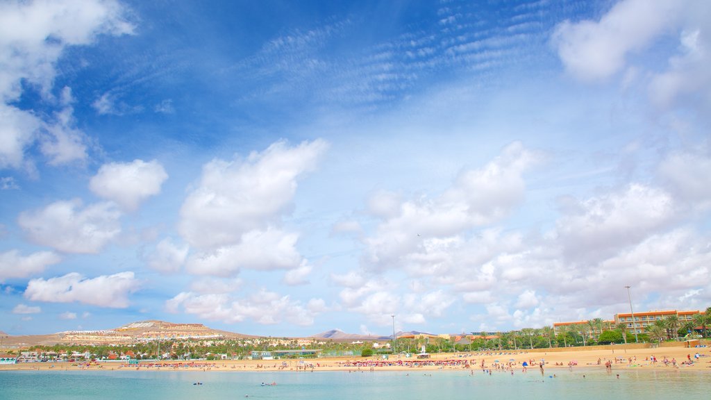 Caleta de Fuste showing general coastal views and a beach