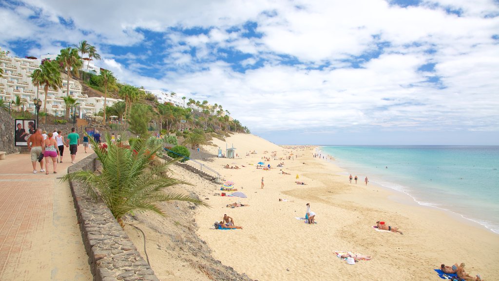 Morro Jable montrant une plage de sable et paysages côtiers