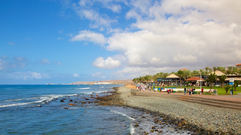 Maspalomas mostrando vista general a la costa y una playa de piedras