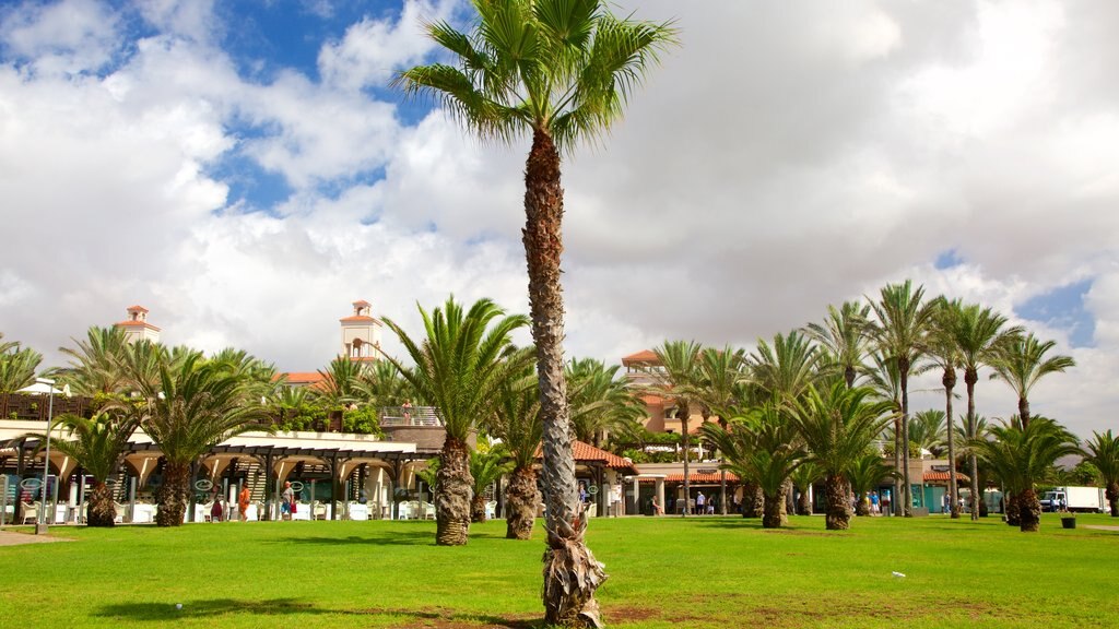 Maspalomas ofreciendo un jardín